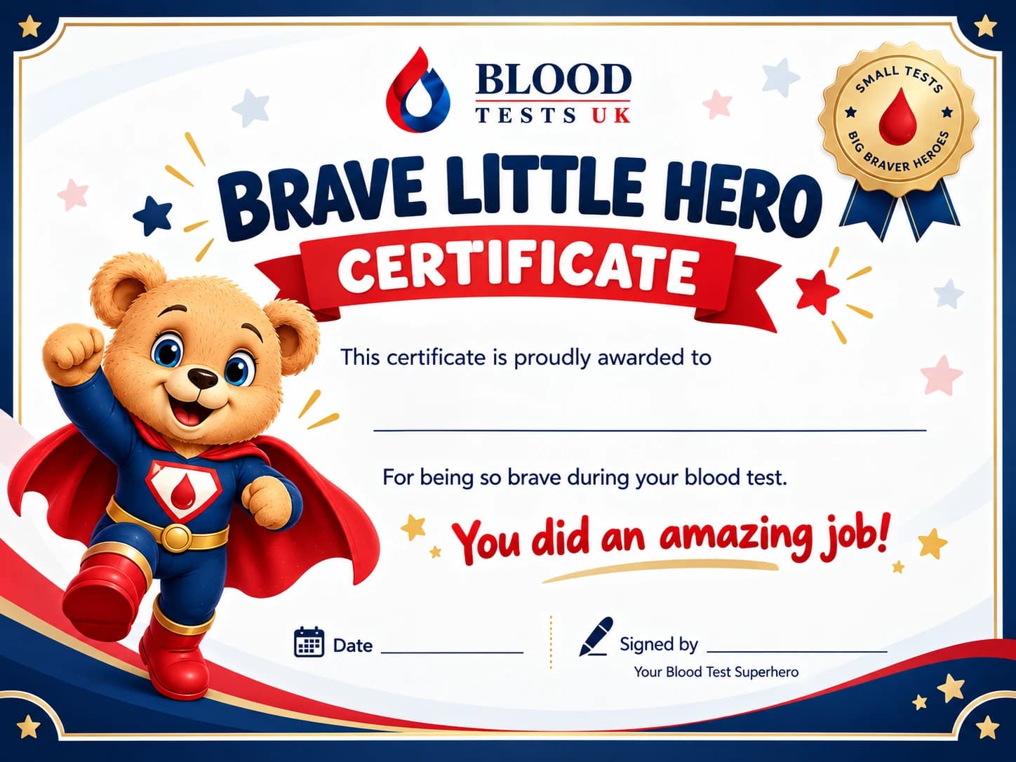 Brave Little Hero certificate